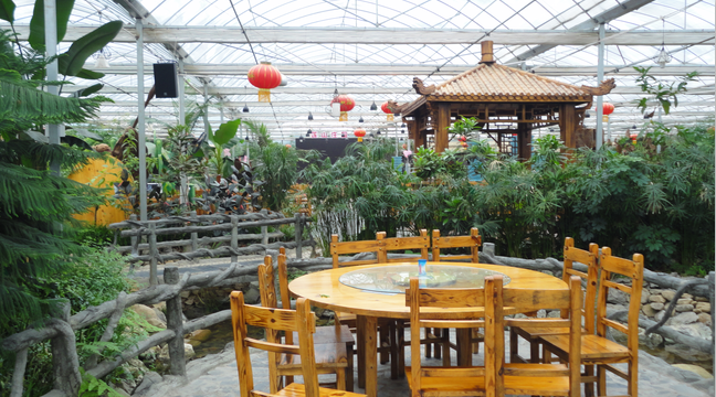 生態餐廳11