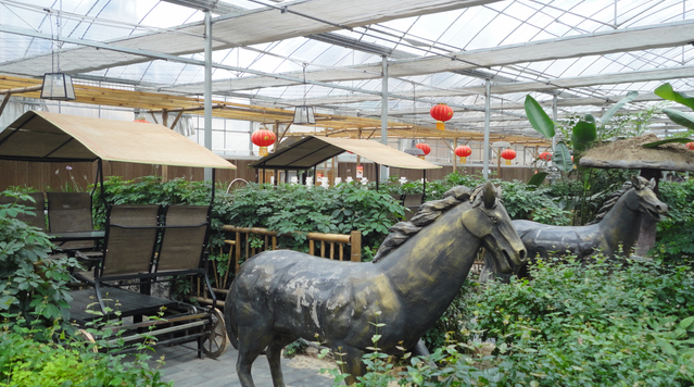 生態餐廳14