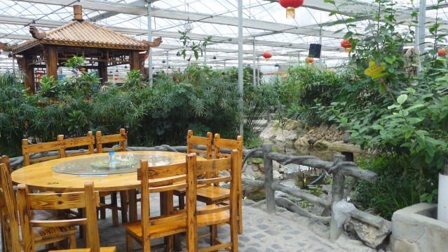 生態餐廳13