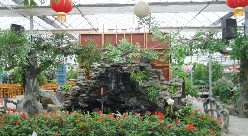 生態餐廳17