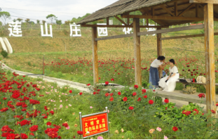 郴州蓮山莊園,郴州生態山莊,郴州原生態休閑農業莊園,郴州鄉村旅游